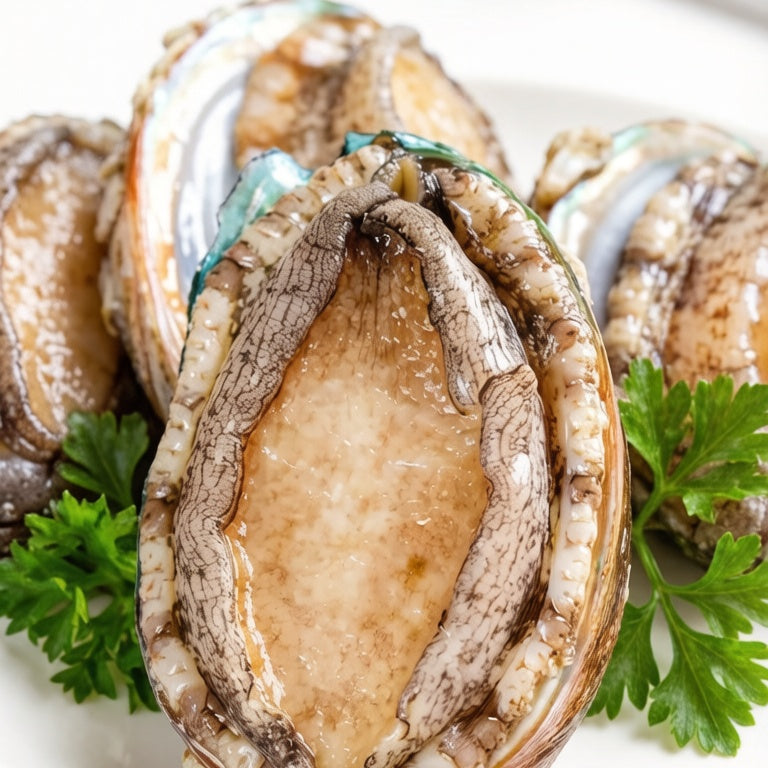 Premium Jumbo Abalone
