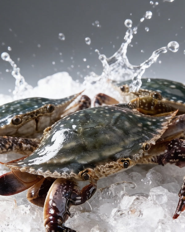 Zhoushan Blue Crab